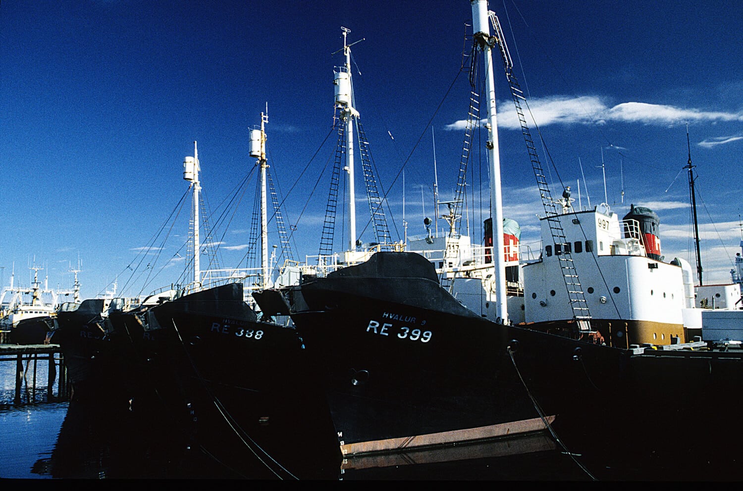 Icelandic hunting vessels in port