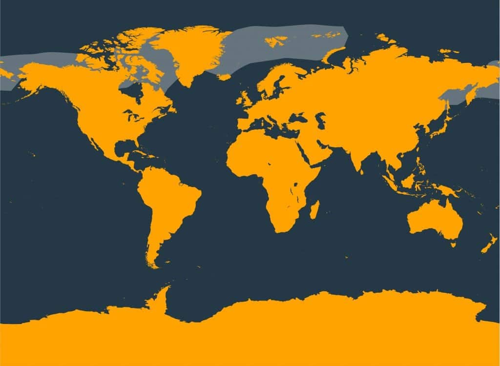 Bowhead whale distribution map
