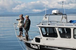 Researchers in Southeast Alaska studying whale poo