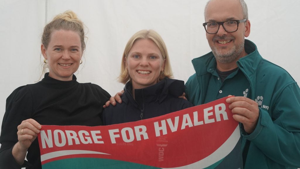 Stop whaling campaigner Lottie with Dyrebeskyttelsen Norge in Norway