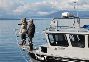 Researchers in Southeast Alaska studying whale poo