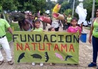 The Natütama Foundation are dedicated to protecting endangered river dolphins. Image: Natutama
